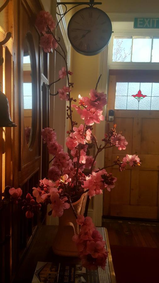 Blue Bell Inn Sorell Buitenkant foto