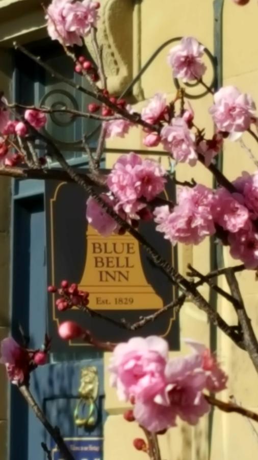 Blue Bell Inn Sorell Buitenkant foto