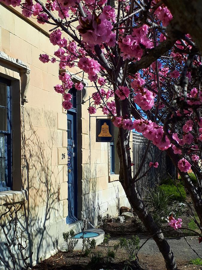 Blue Bell Inn Sorell Buitenkant foto
