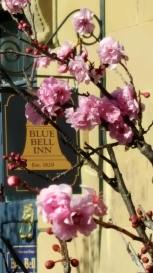 Blue Bell Inn Sorell Buitenkant foto
